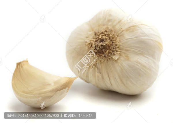 大蒜鱗莖
