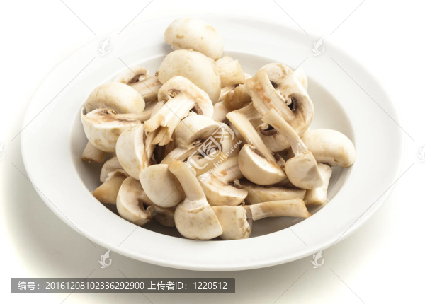 蘑菇