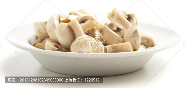 蘑菇