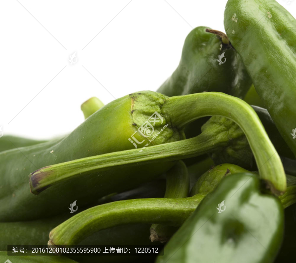 青椒