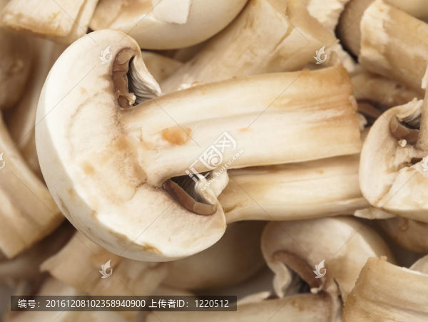 蘑菇