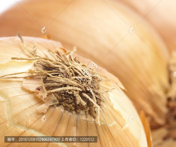 洋蔥