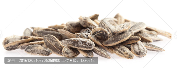 葵花籽