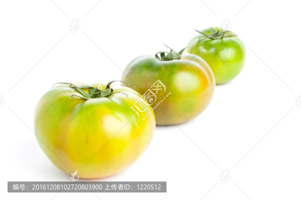 綠色tomatoes2