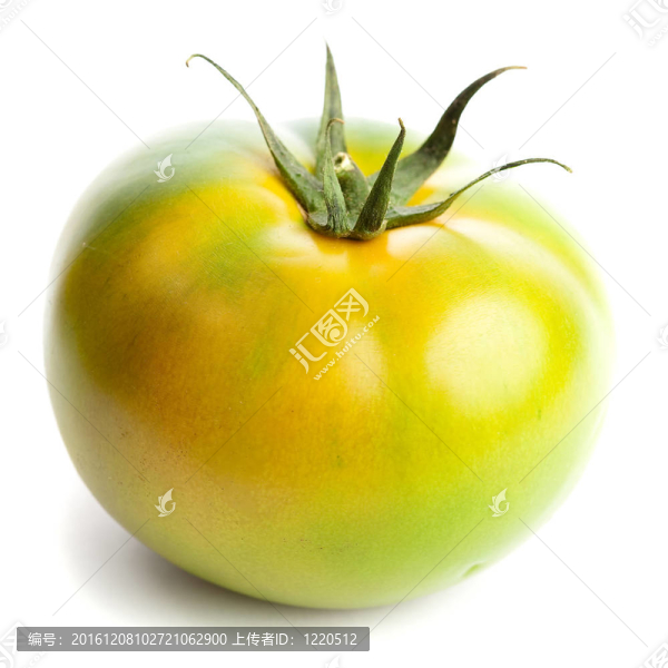 綠蕃茄