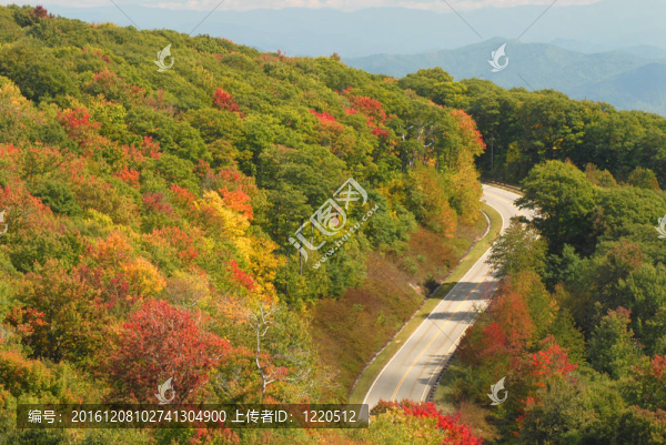田納西一條蜿蜒的山路在秋天