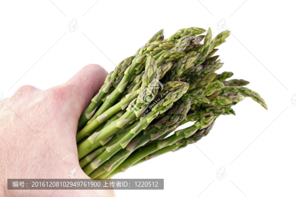 把蘆筍