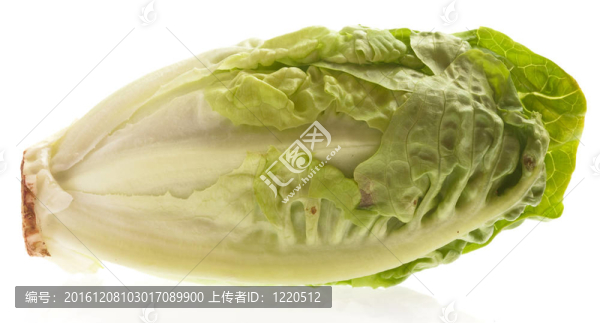 生菜