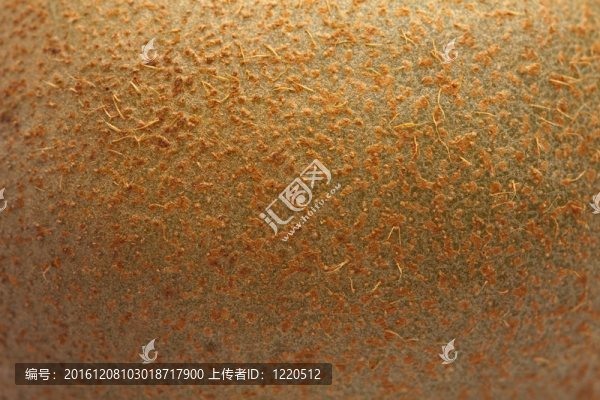 新鮮的奇異紋理