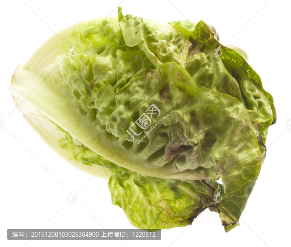 生菜