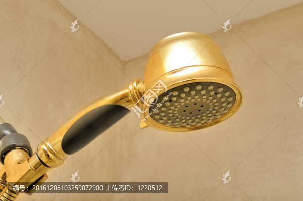 淋浴頭