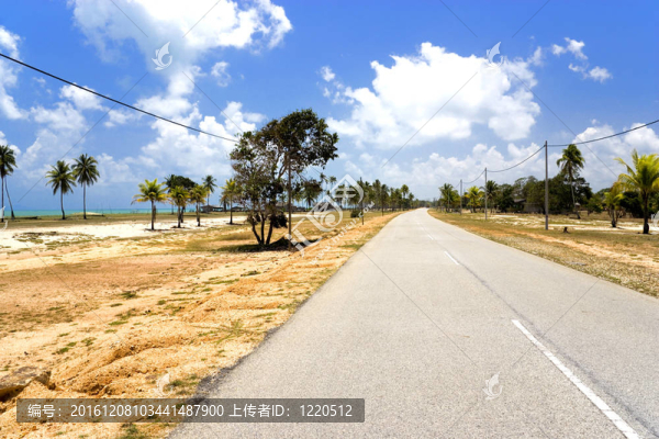 沿海村莊道路