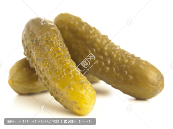 新鮮的黃瓜