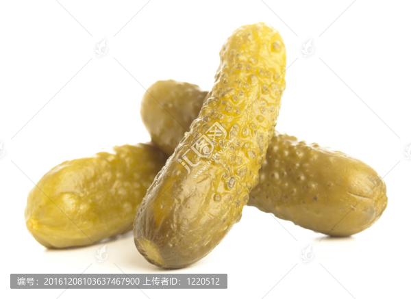 新鮮的黃瓜