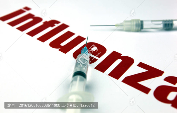 甲型H1N1流感病毒