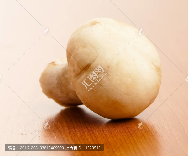 蘑菇在表