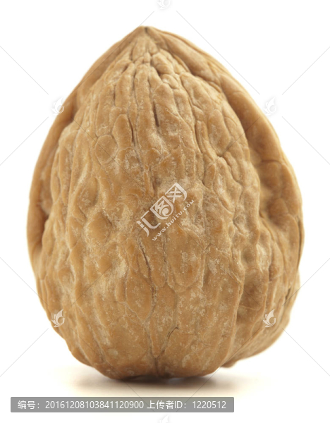 板栗
