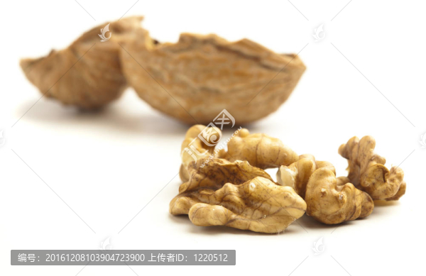 果殼