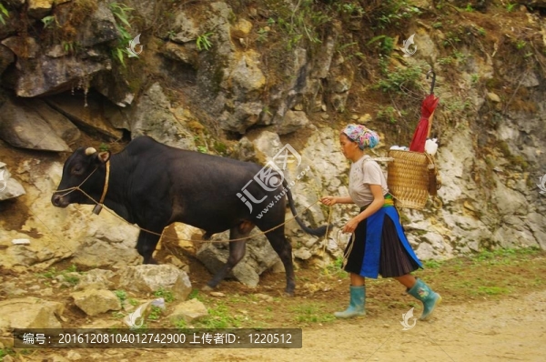 苗族婦女從現(xiàn)場(chǎng)回來