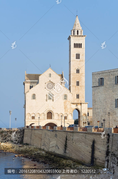 大教堂。Trani。Apulia。