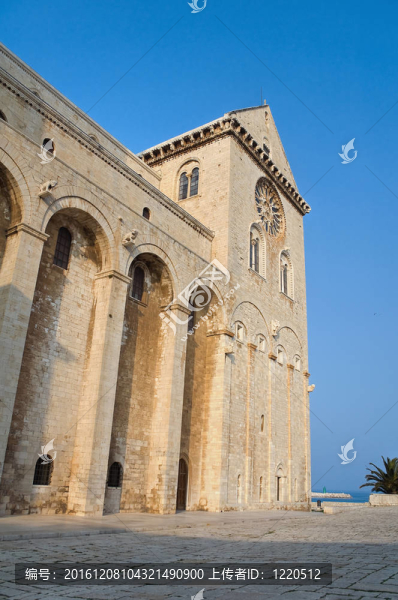 大教堂。Trani。Apulia。