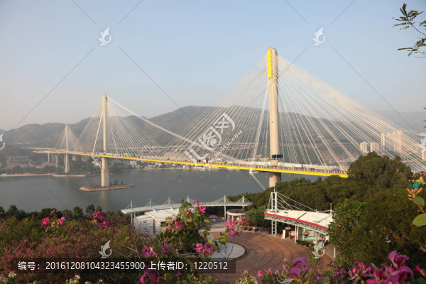 汀九斜拉橋在香港