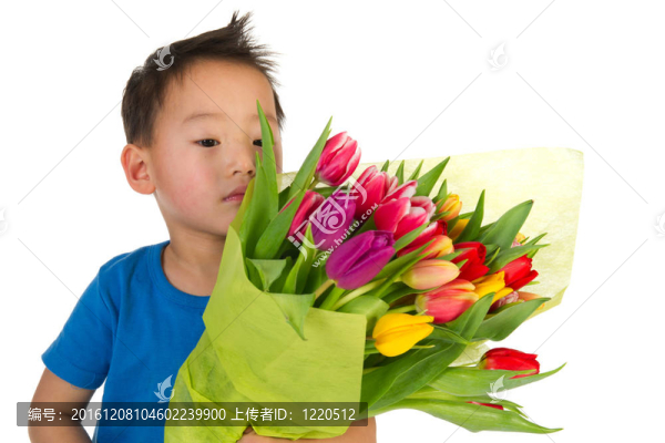 亞洲男孩花
