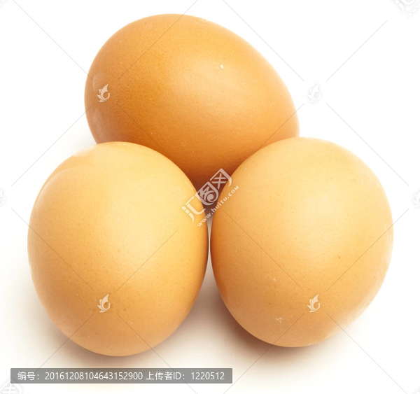 蛋棧