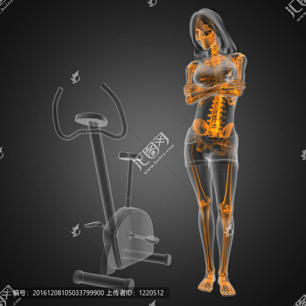 健身房的女性X線掃描