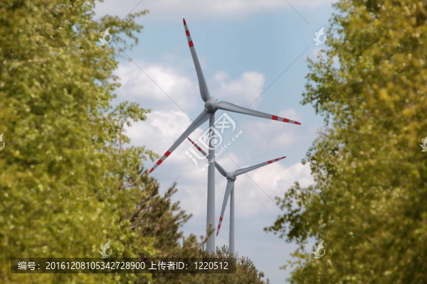 樹木間的風力渦輪機