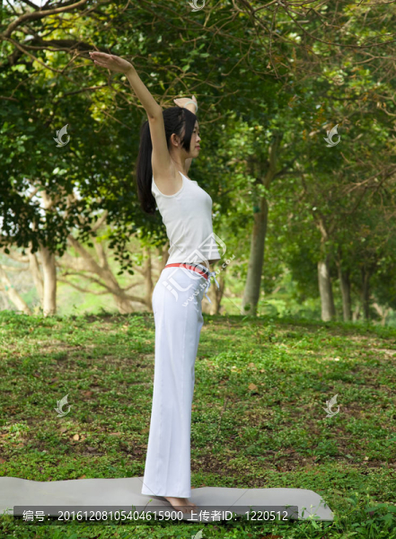 公園里的瑜伽女孩