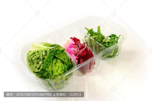 各種沙拉包裝