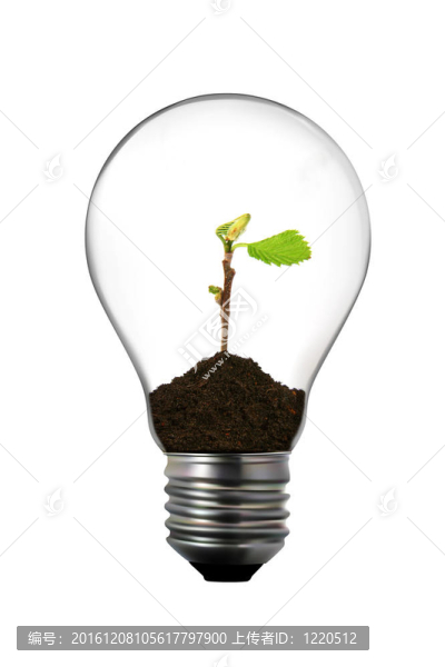 可再生能源：內(nèi)有綠色植物的燈泡
