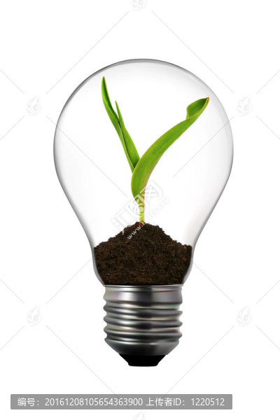 可再生能源：內(nèi)有綠色植物的燈泡