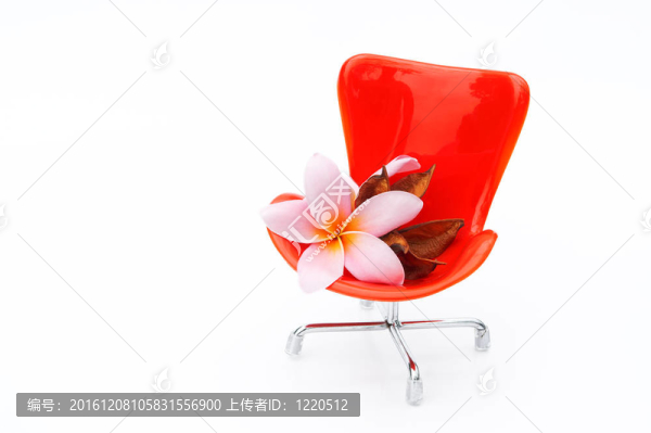 健康的概念
