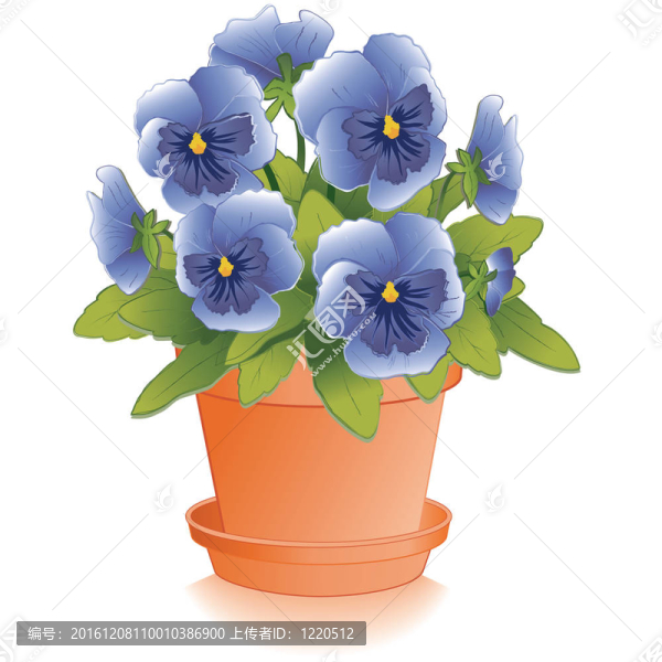 藍(lán)色堇型花；Clay,Flowerpot