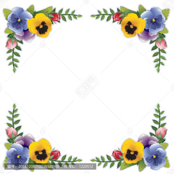花框；紫羅蘭和玫瑰