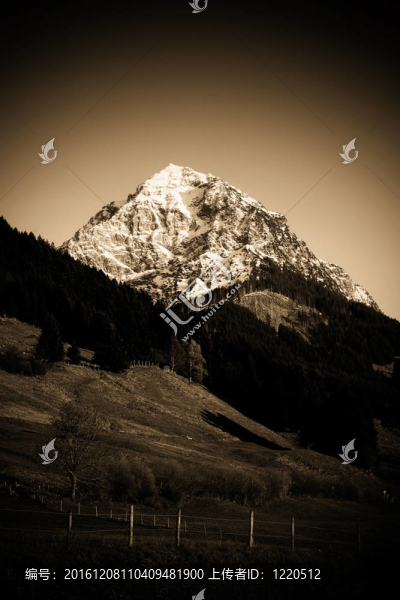 山