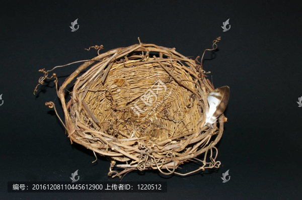 籃子里有羽毛