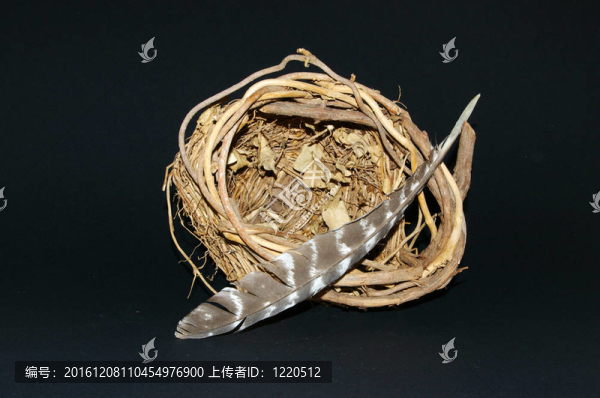 籃子與Hawk,Feather