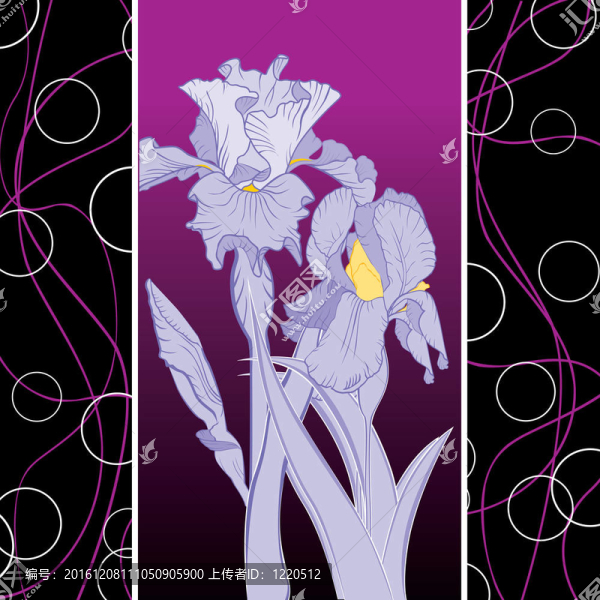 春鳶尾花型