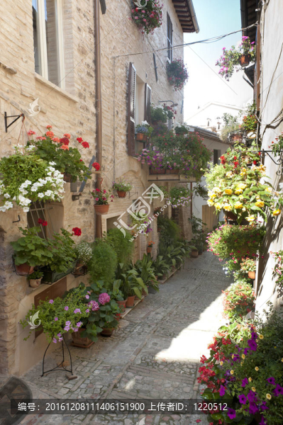 Spello；舊街