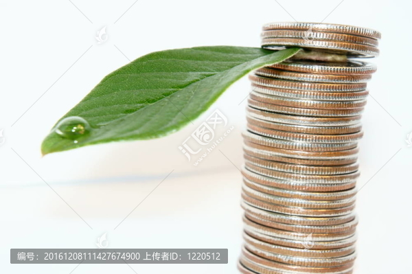 金錢樹