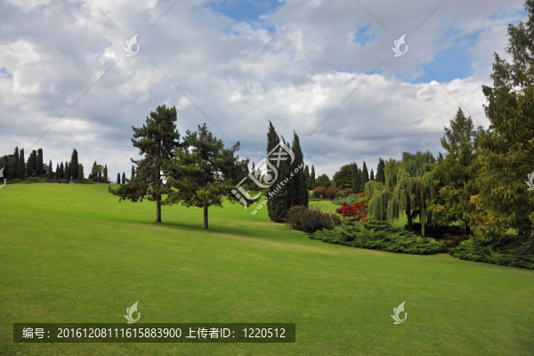 在公園sigurta綠色田野