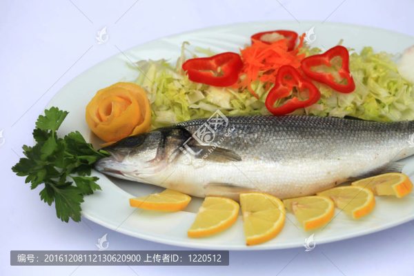 魚的背景