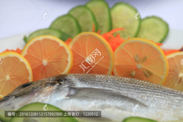 魚的背景