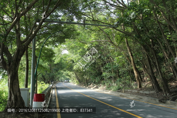馬路