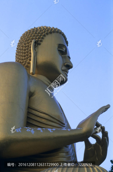 金色的觀音雕像在丹布勒斯里蘭卡