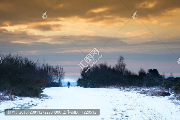 充滿活力的冬季日出景觀覆蓋白雪覆蓋的鄉(xiāng)村