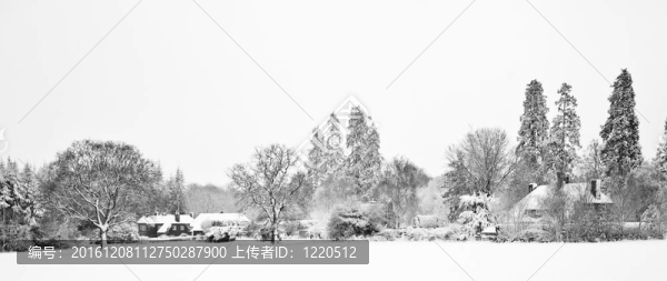 黑色和白色的winterr雪場景觀
